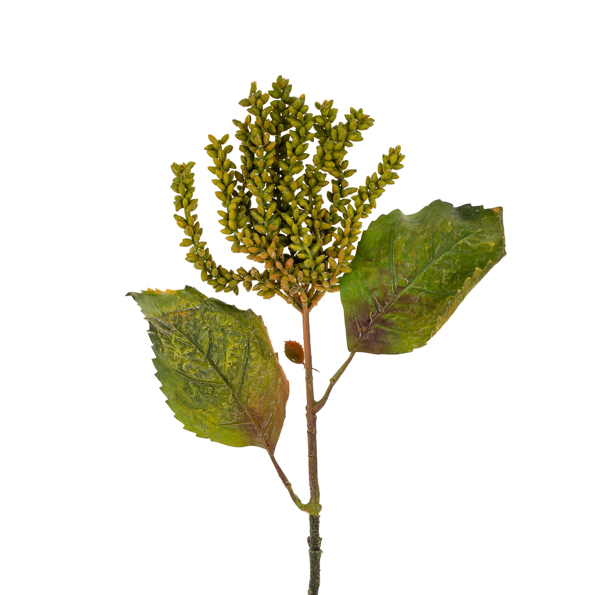 Indaba Dripping Seed Stem 1-0149 Green – Crocus & Ivy Interiors