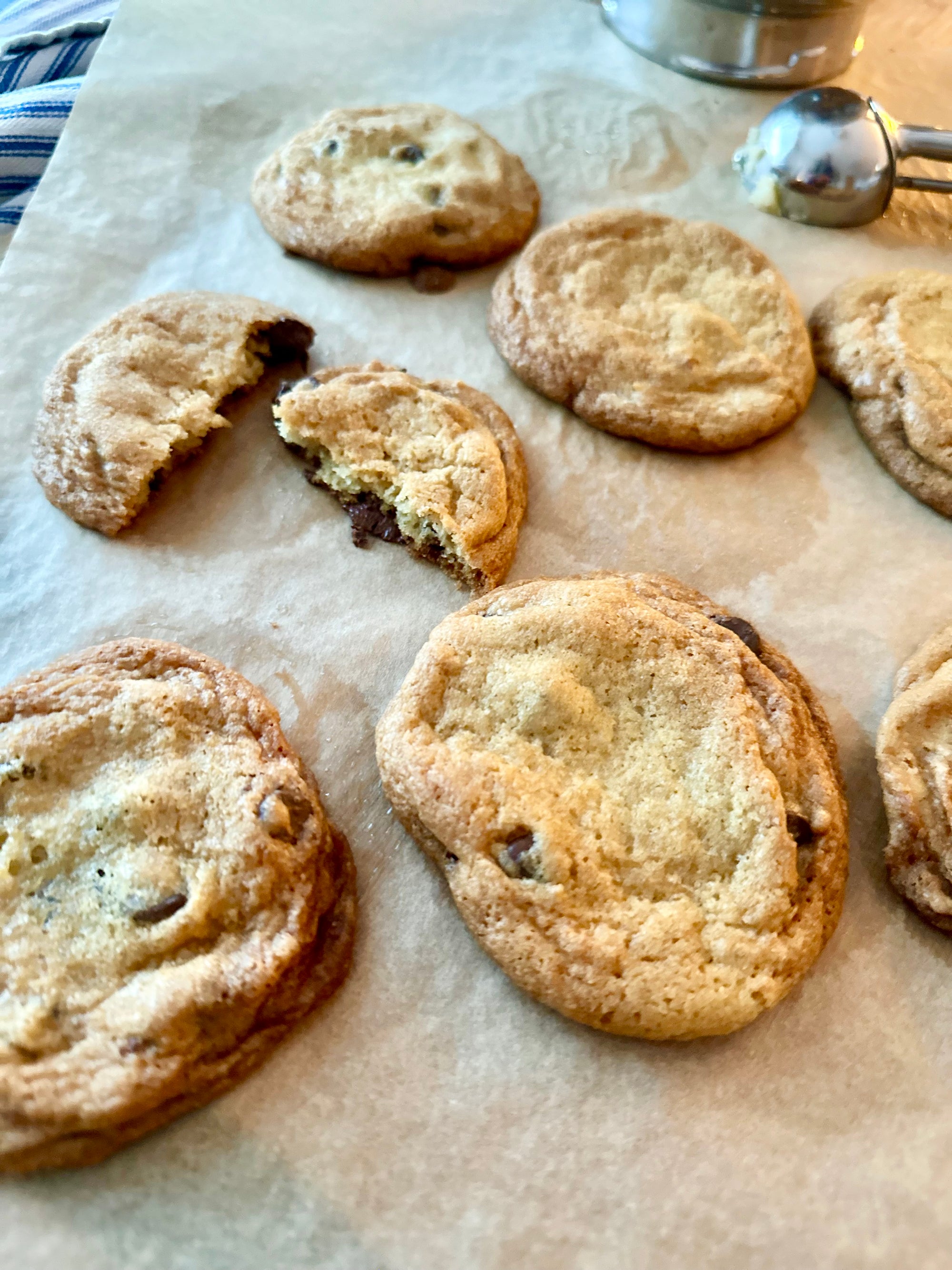 Chocolate Chip Chronicles: In Pursuit of the Perfect Cookie
