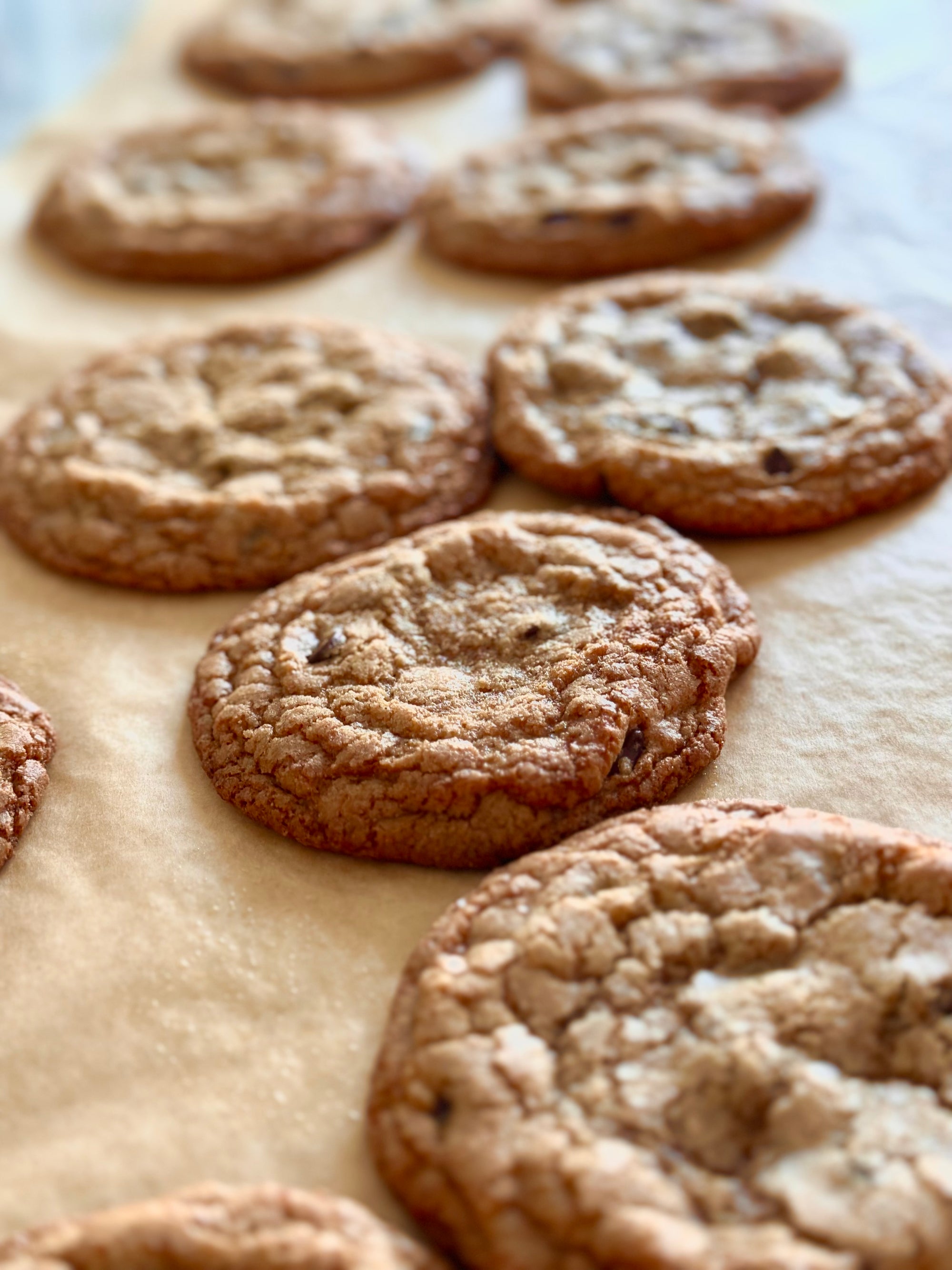 Let's Bake Irresistible Whole Wheat Chocolate Chip Cookies