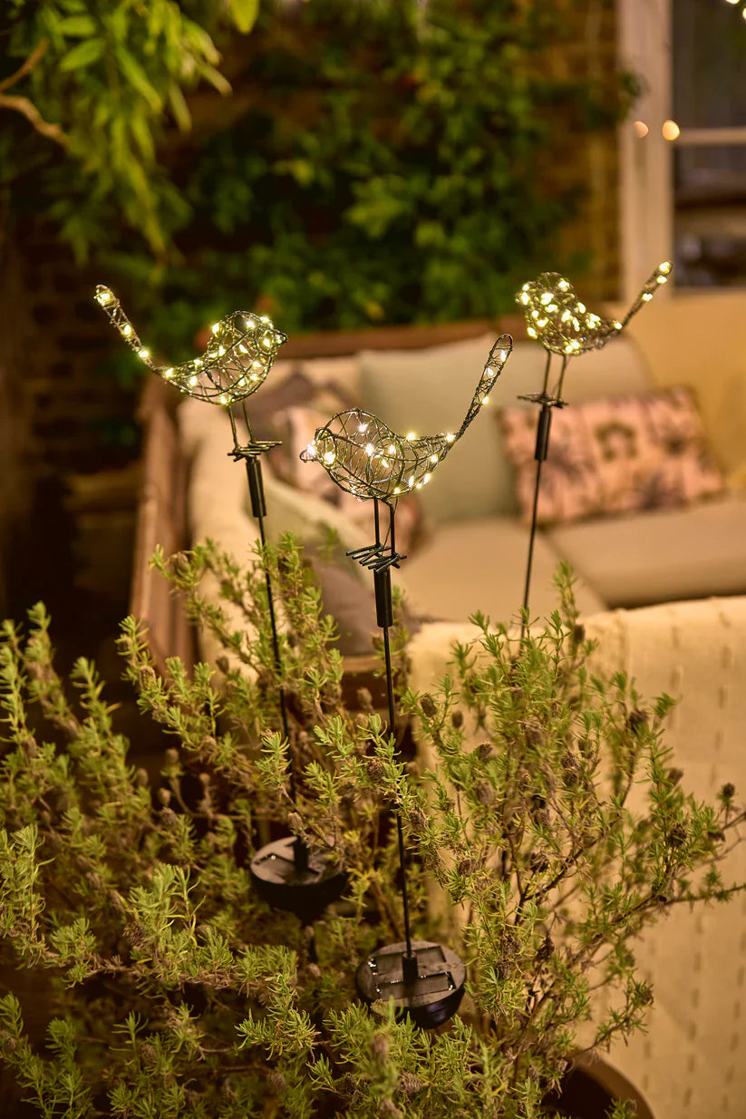 Summer Garden Lights
