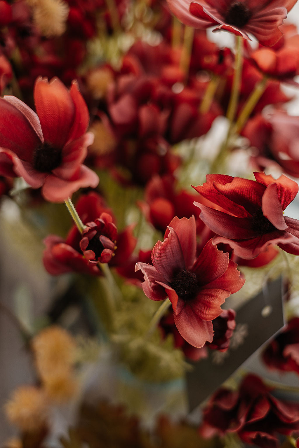 Everlasting Botanicals
