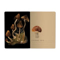 Bruno Visconti Forest Mushrooms Notebook 505/52