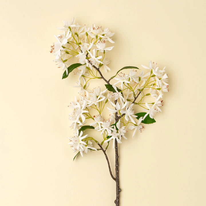 Indaba Star Magnolia Branch 01-9461