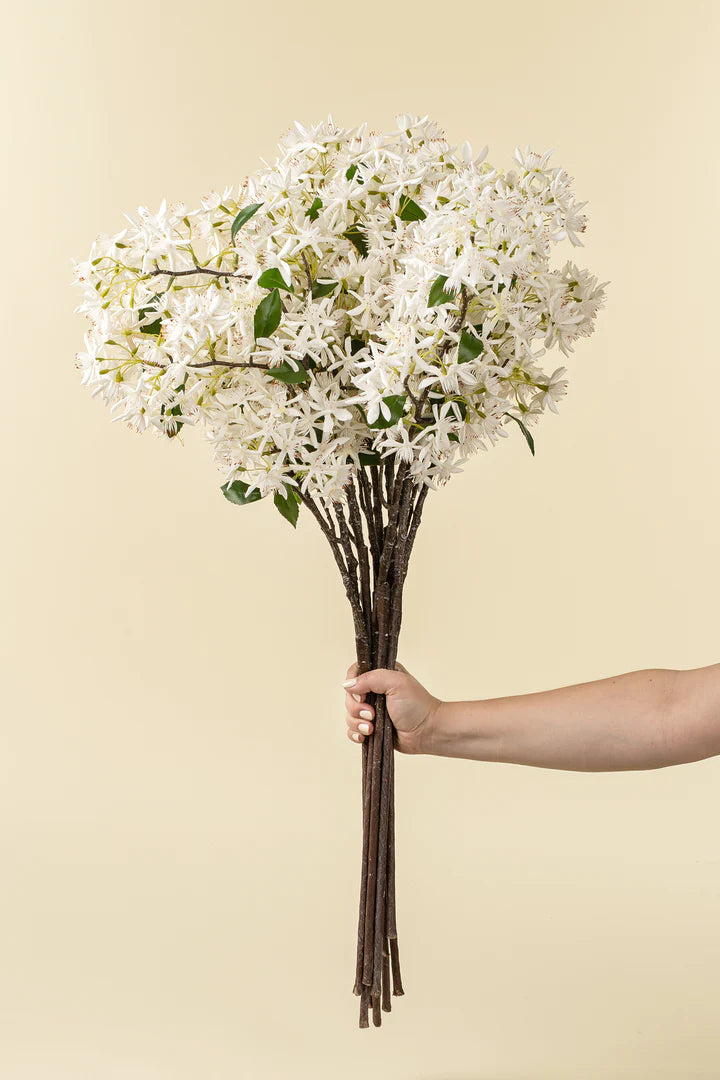 Indaba Star Magnolia Branch 01-9461