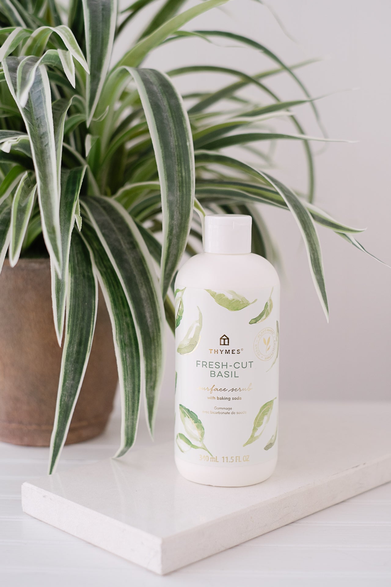 Thymes Fresh Cut Basil Surface Scrub 11.5fl*