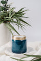 Thymes Cyprus Sea Salt Statement Candle