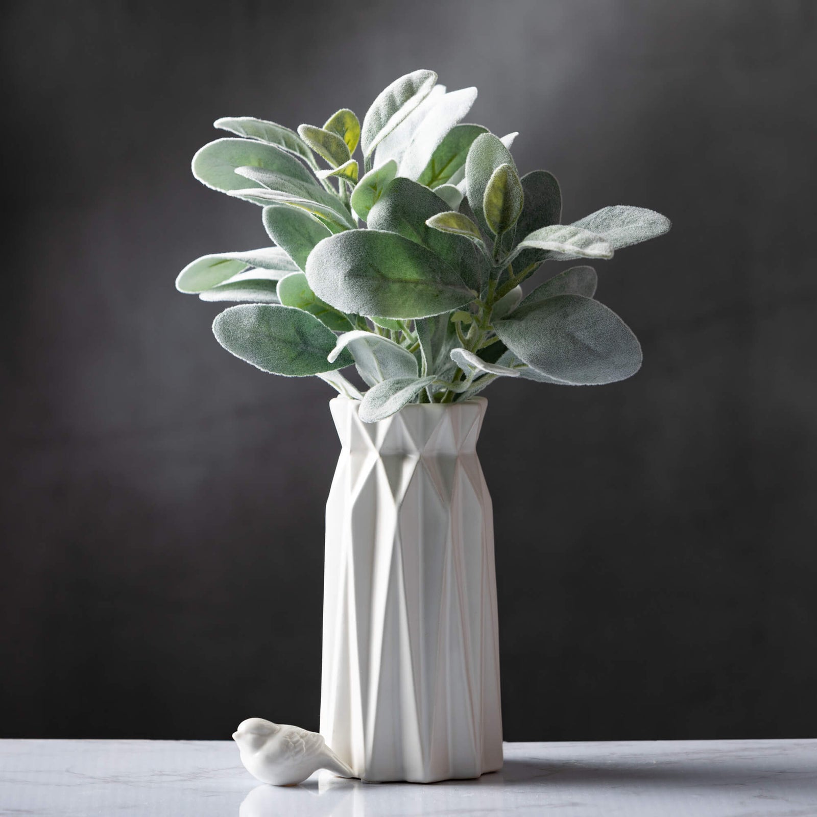 Sullivans Lambs Ear Bundle 02485BNDL