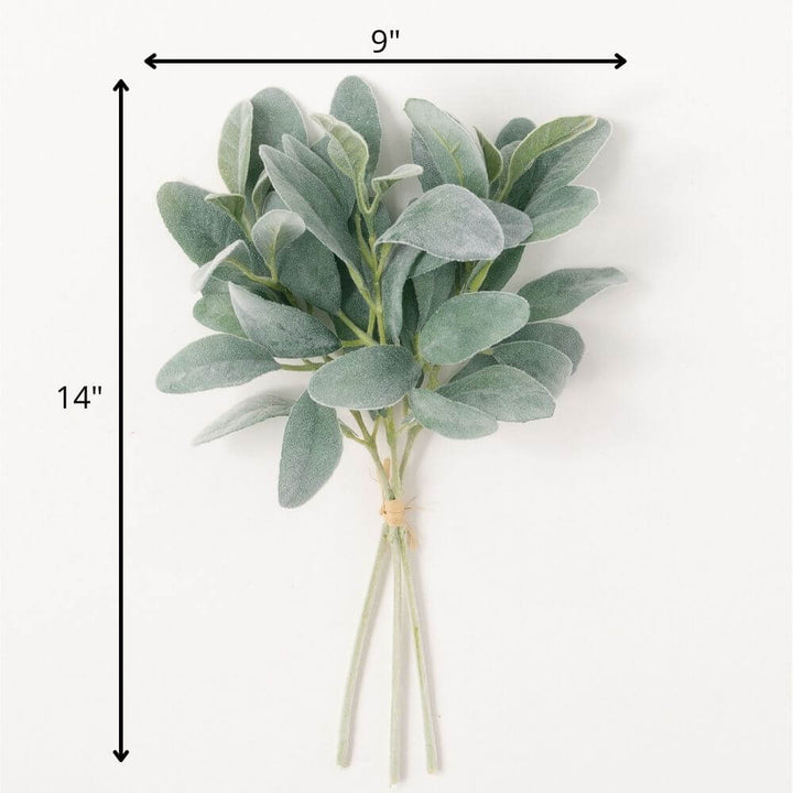 Sullivans Lambs Ear Bundle 02485BNDL