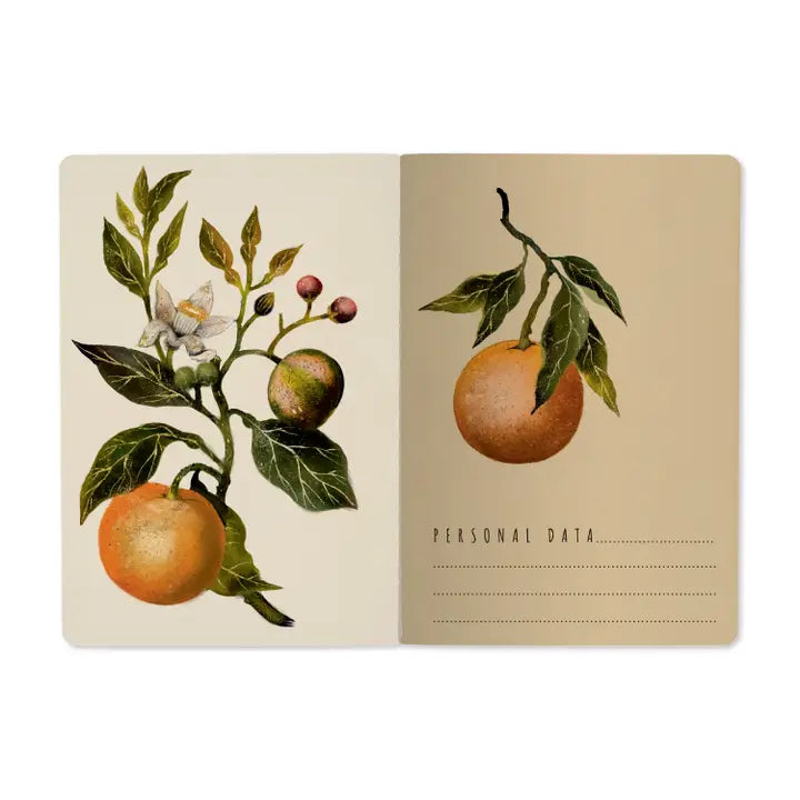Bruno Visconti Notebook - Oranges & Blossoms 505/81