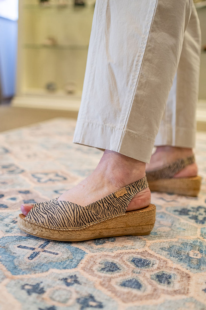 Toni Pons Bernia - Zebra