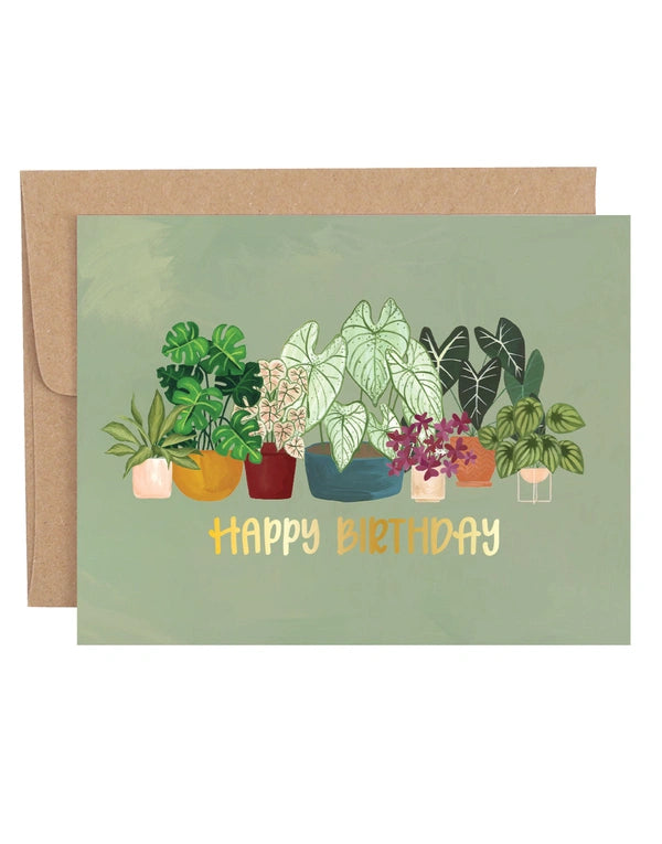 1Canoe2 Greenhouse Specialty Greeting Card Box Set