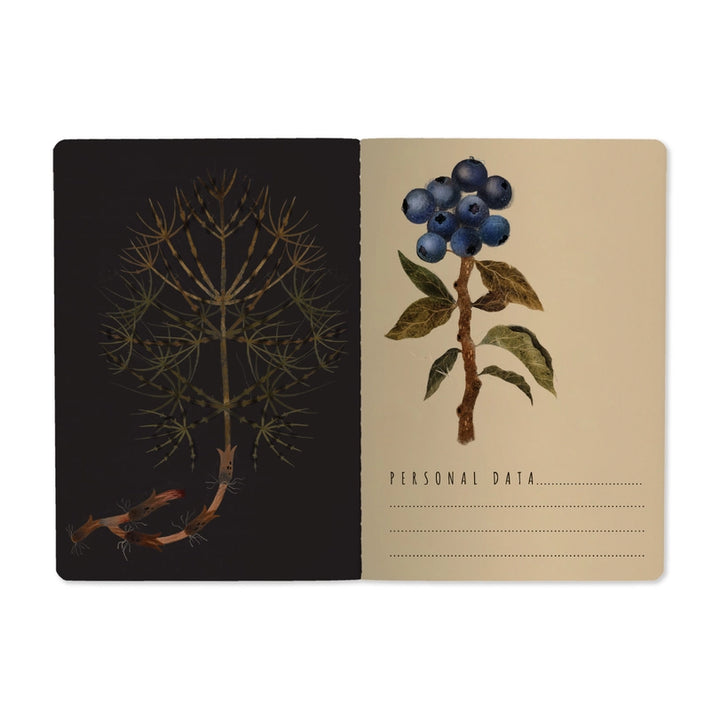 Bruno Visconti Notebook - Forest Berries 505/78