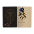 Bruno Visconti Notebook - Forest Berries 505/78