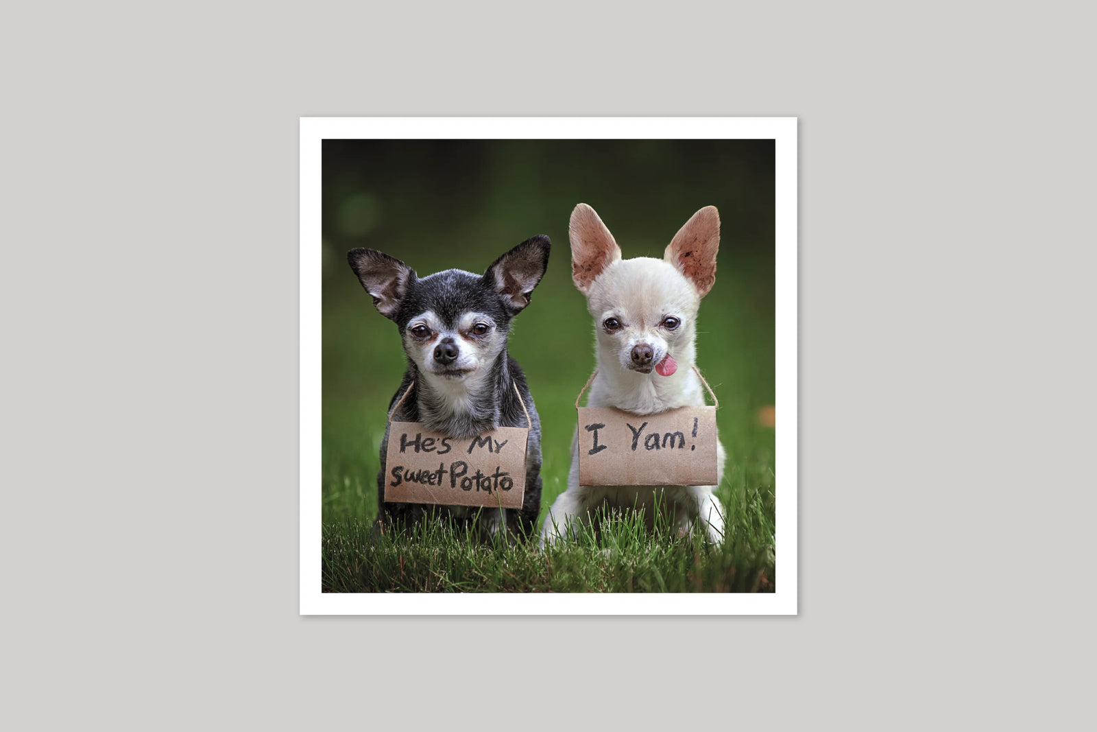 Icon Card - Sweet Potato 10774