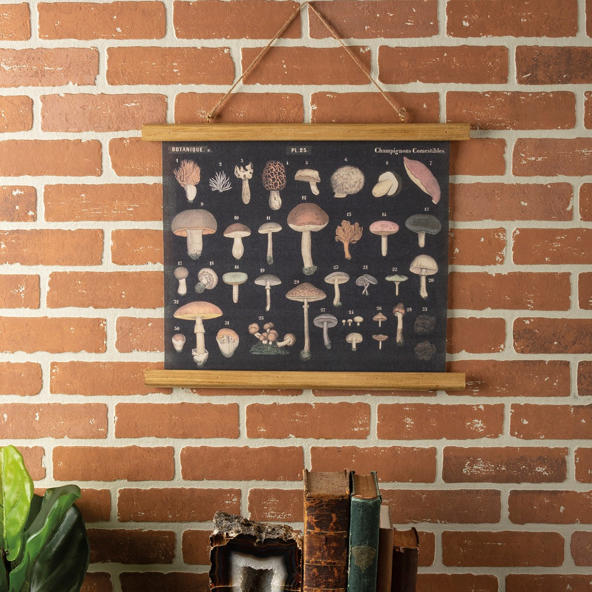 Hanging Wall Decor - Mushrooms 109275