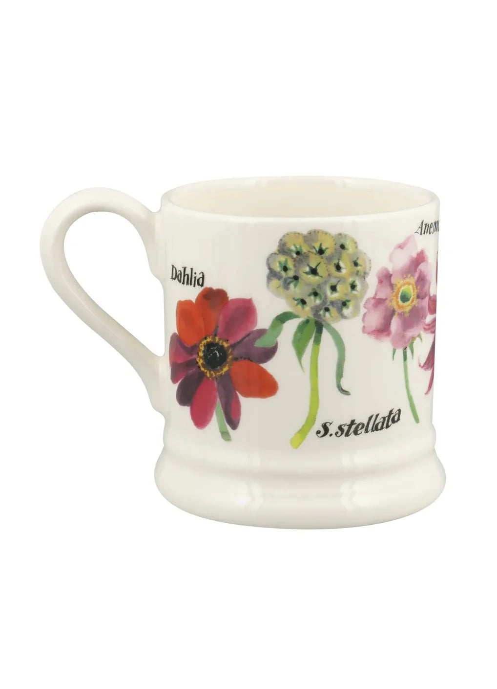 Emma Bridgewater 1/2 pt Mug  -  Autumn Flowers