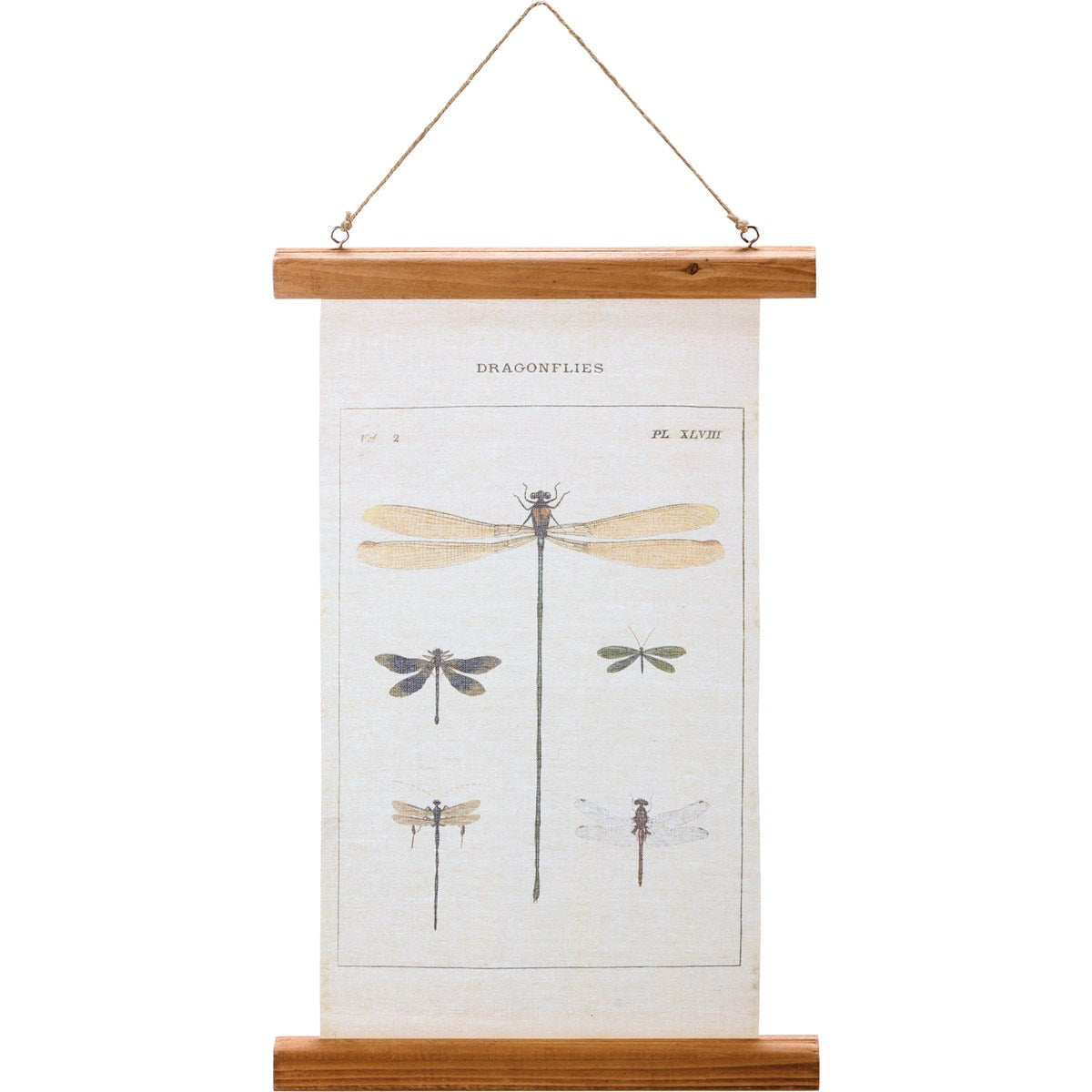 Hanging Wall Decor - Drangonflies 112186