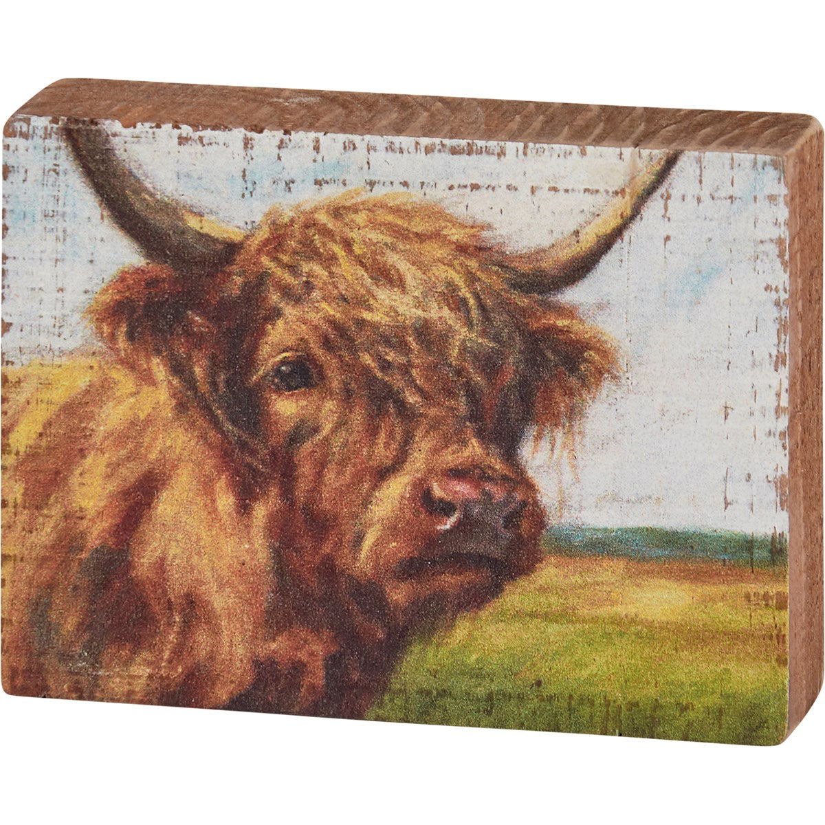 Block Sign -Highland Cow 116178