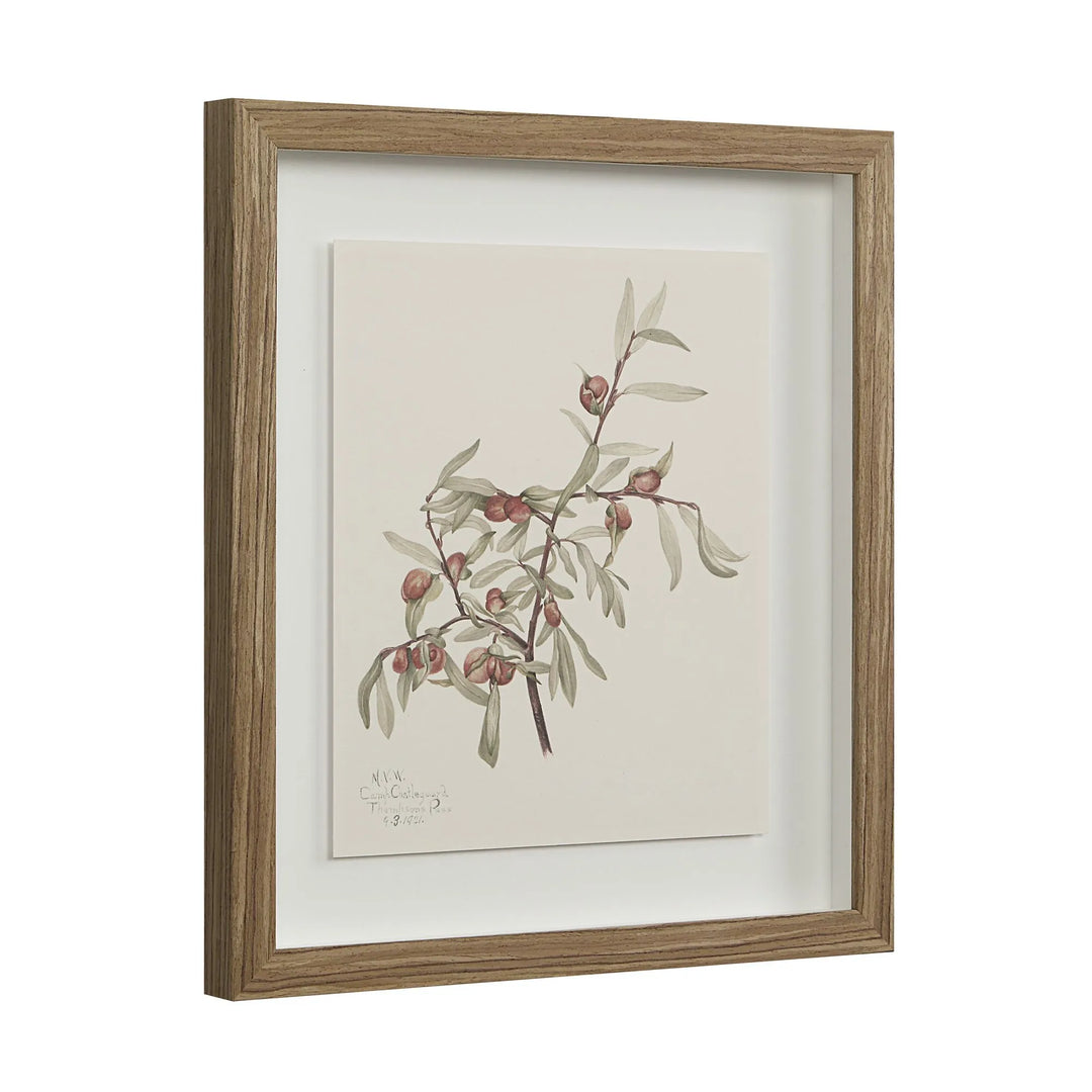Renwil Wall Art  PA0043 - 4
