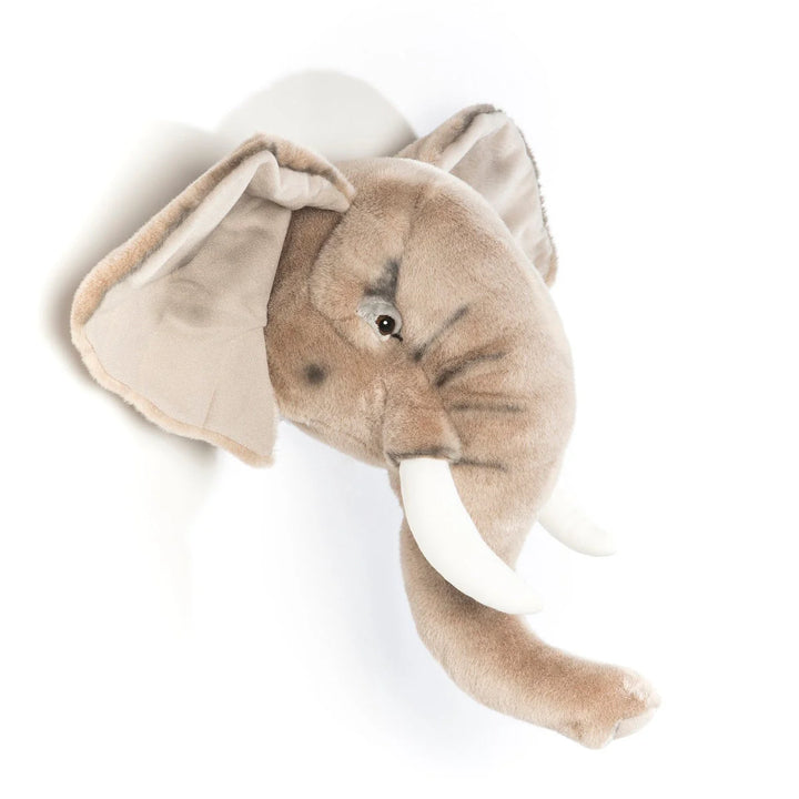 Wild & Soft Elephant Head....George   WS0033   Large