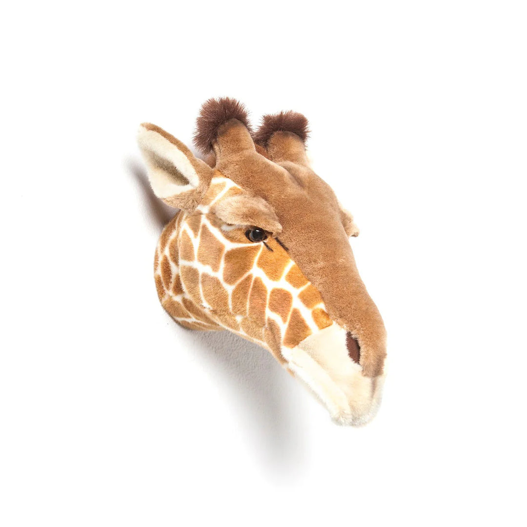 Wild & Soft Giraffe Head   Ruby   WS0036   Large