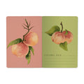 Bruno Visconti Notebook - Peaches on the Tree 505/92