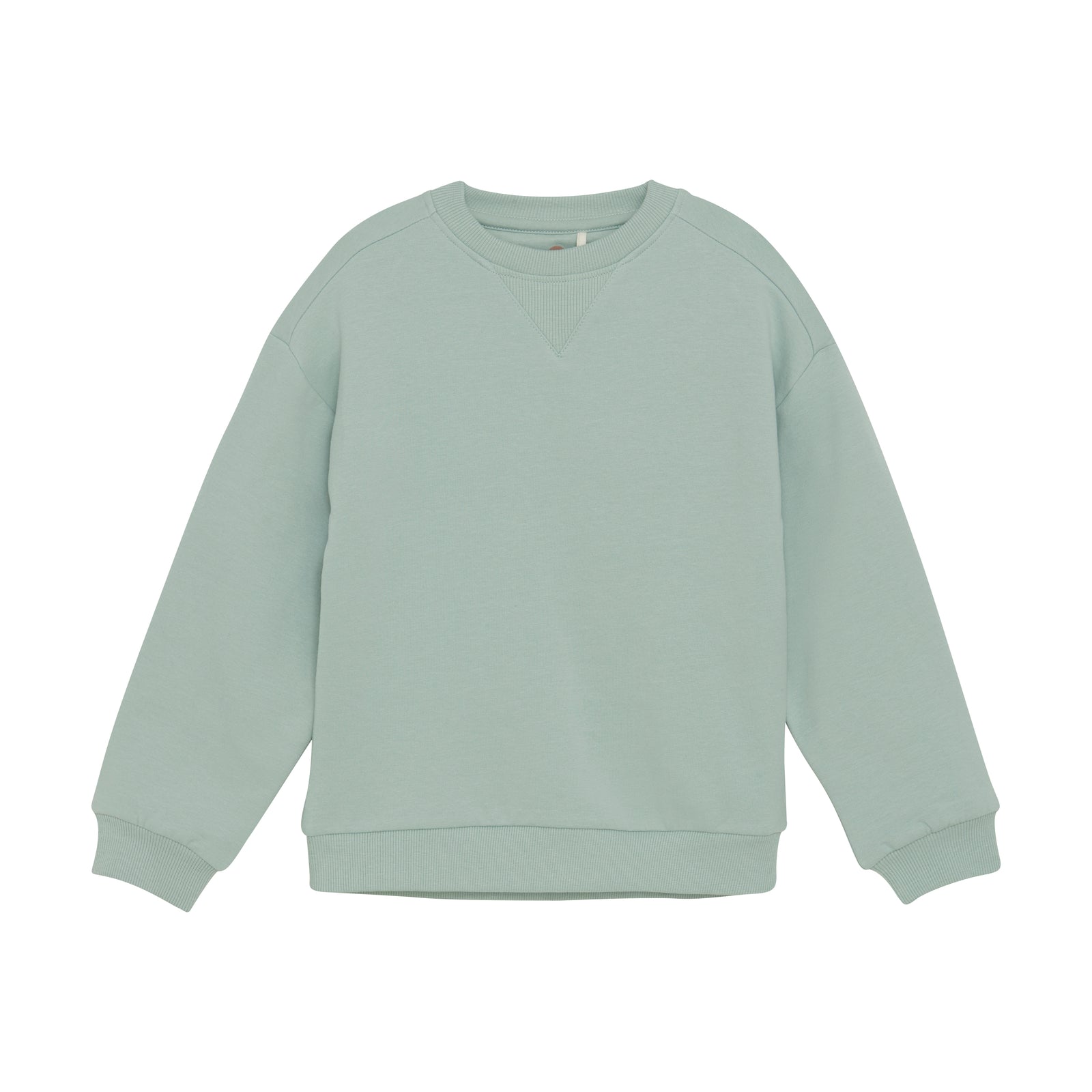 Enfant Boys Sweatshirt  230532-9304