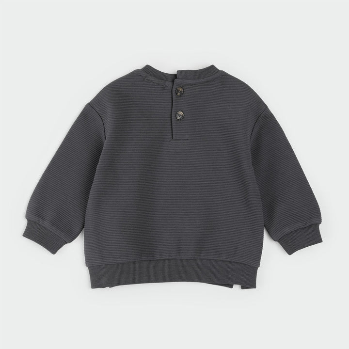 Petit Lem Sweatshirt and Leggings Set  26FGW32E11B