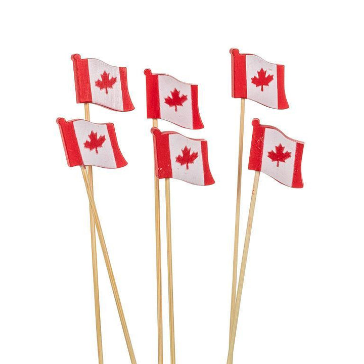 Abbott Canada Flag Party Picks