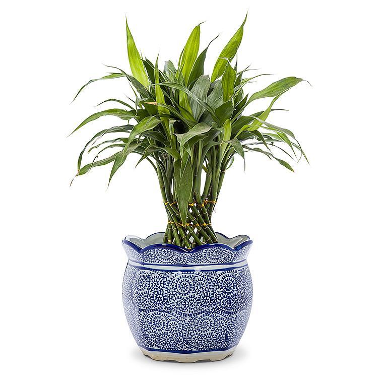 Abbott Scallop Edge Planter