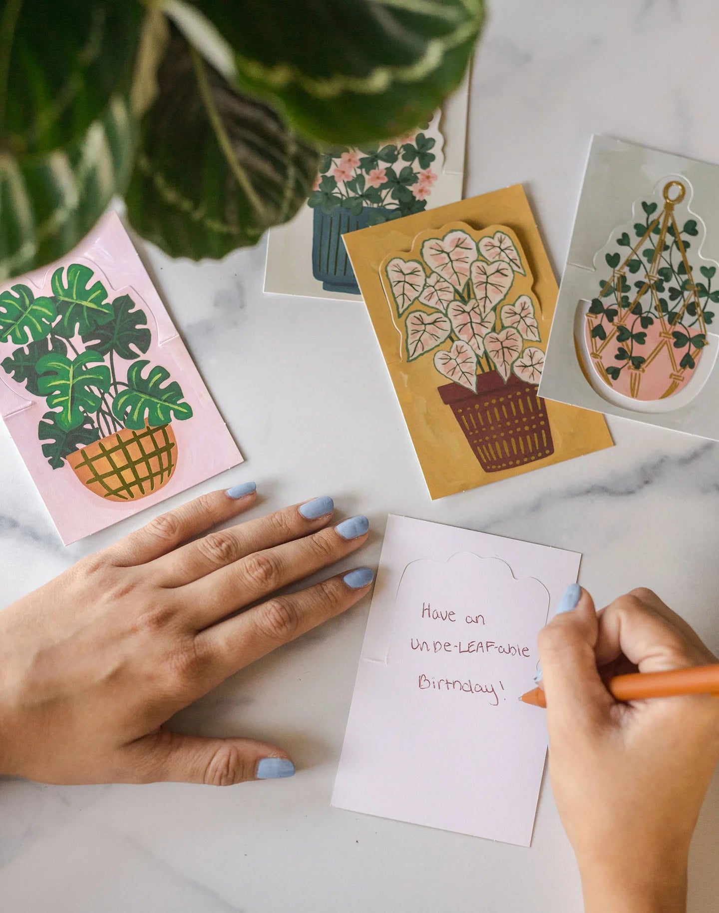 1Canoe2 Potted Plants Pop-Up Greeting Card Box Set