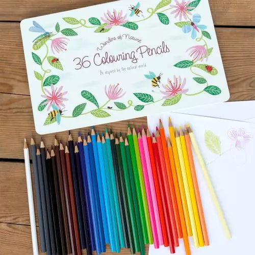 Rex Colouring Pencils  -  Wonders of Nature