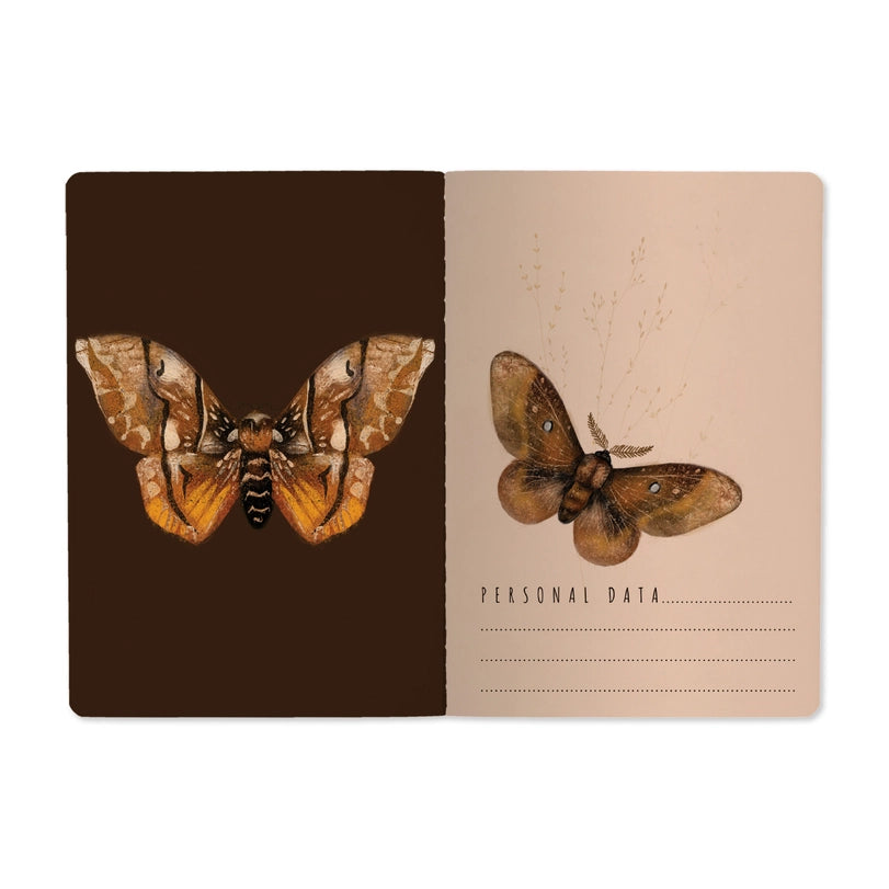Bruno Visconti Notebook - Butterfiles on Blush 505/73