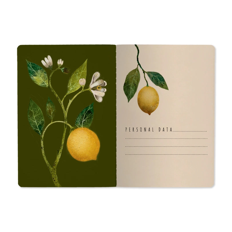Bruno Visconti Notebook - Lemons 505/82