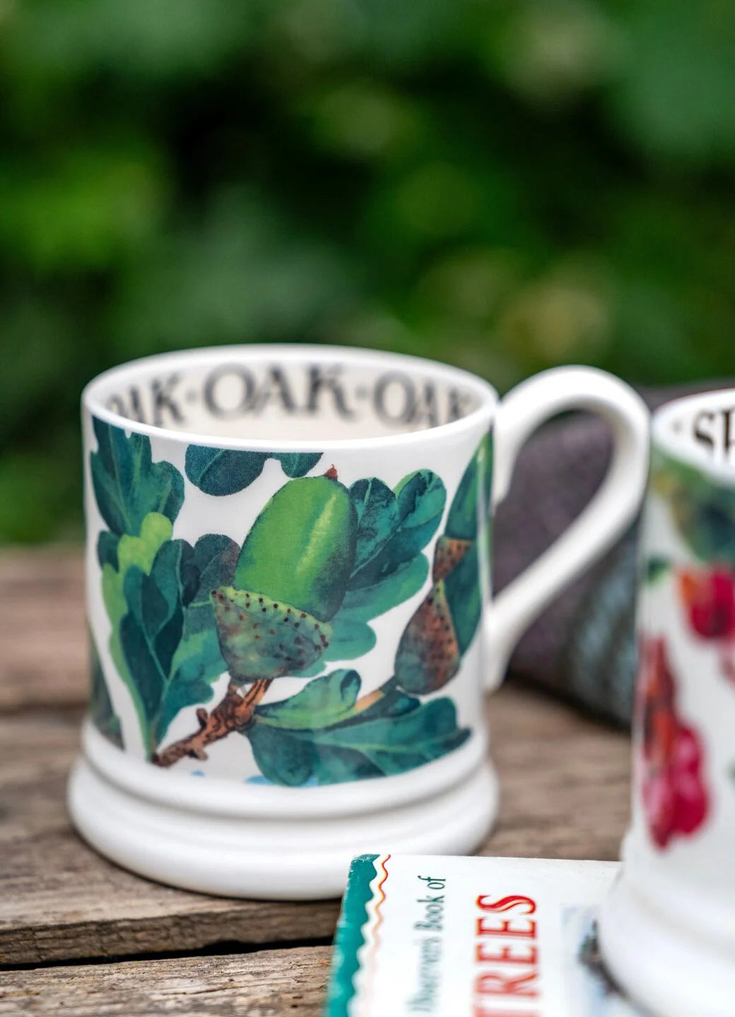 Emma Bridgewater 1/2 pt Mug  -  Acorn