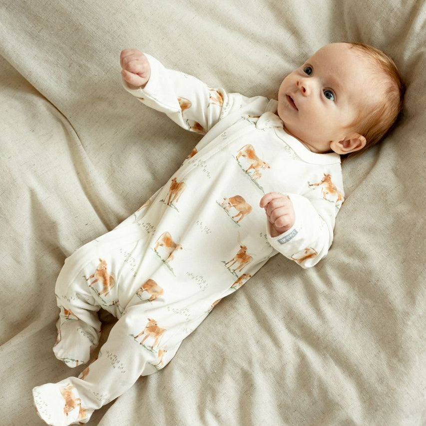 Coccoli Baby Footie   PZM6023-198