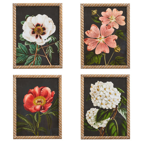 Raz 18" Floral Framed Wall Art  4444521