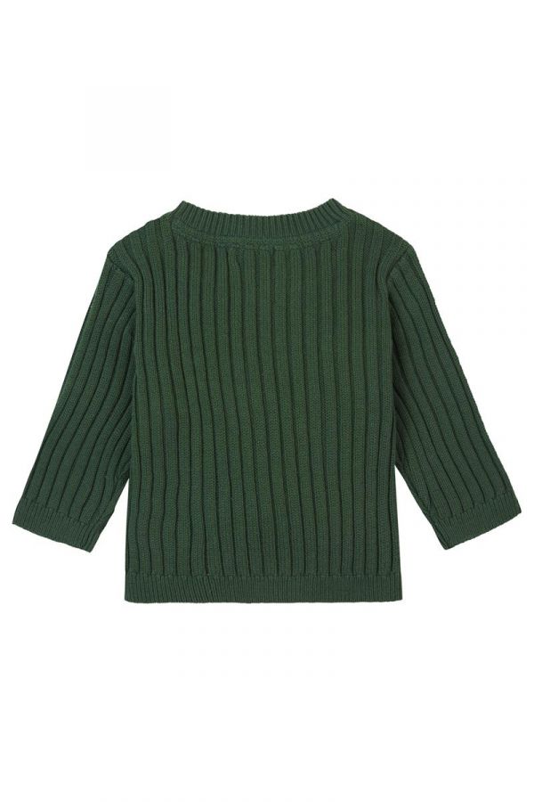 Noppies Baby Boy Long Sleeve Pullover Sweater   4480213   Garden Topiary *