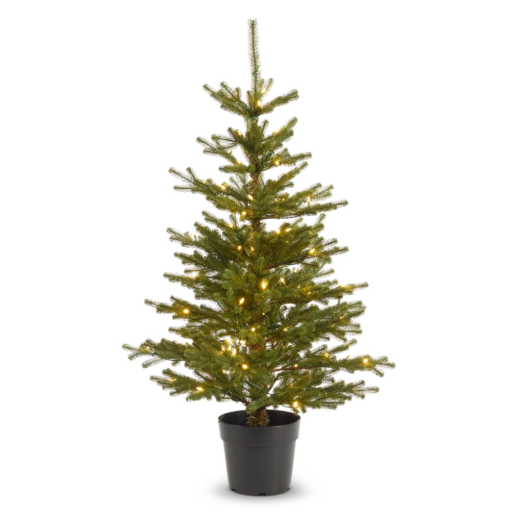Raz Lighted Potted Fir Tree  4641828