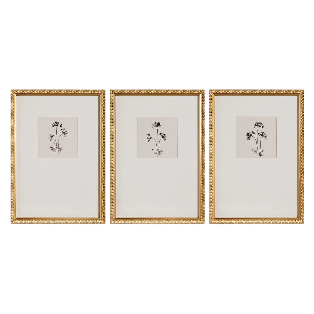 Raz Ink Petals Framed Wall Art 4644532