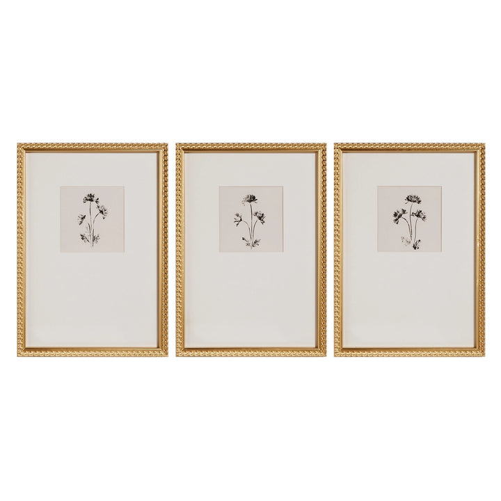 Raz Ink Petals Framed Wall Art 4644532