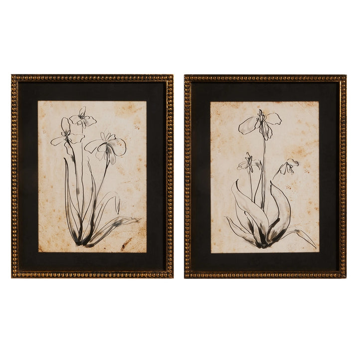 Raz Floral Line Art Framed Print 4644556