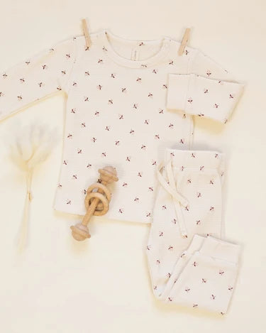 Quincy Mae Baby Girls Waffle Top & Pant Set   QM453CHAR   Fall Ditsy