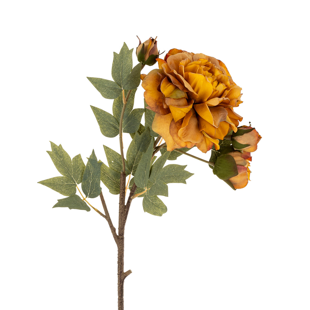 Indaba Peony Floral Stem  1-0179  Burnt Orange