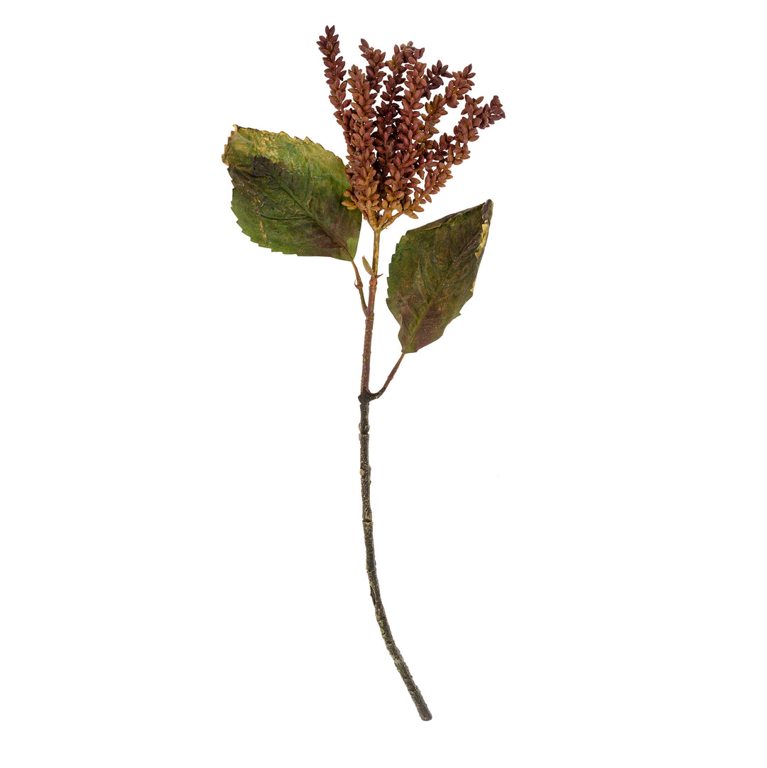 Indaba Dripping Seed Stem  1-0148 Green
