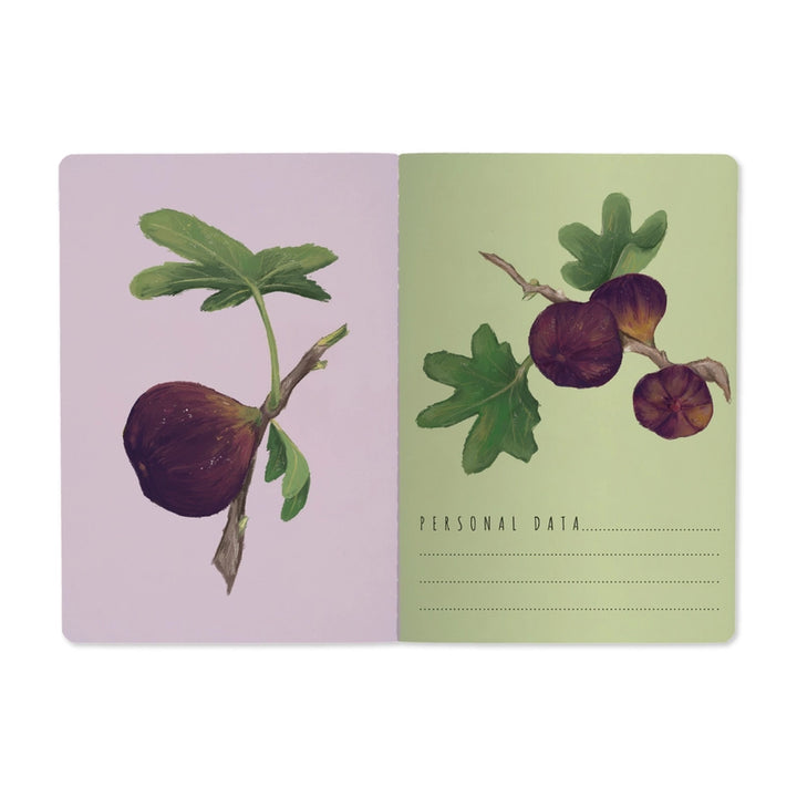 Bruno Visconti Notebook - Figs on White 505/91