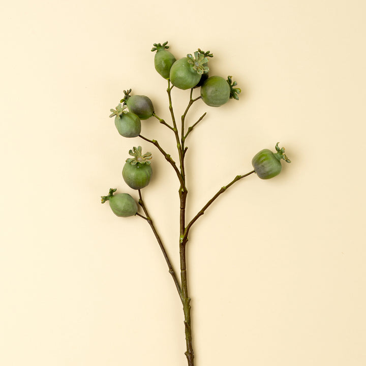 Indaba Poppy Pod Branch 01-9501