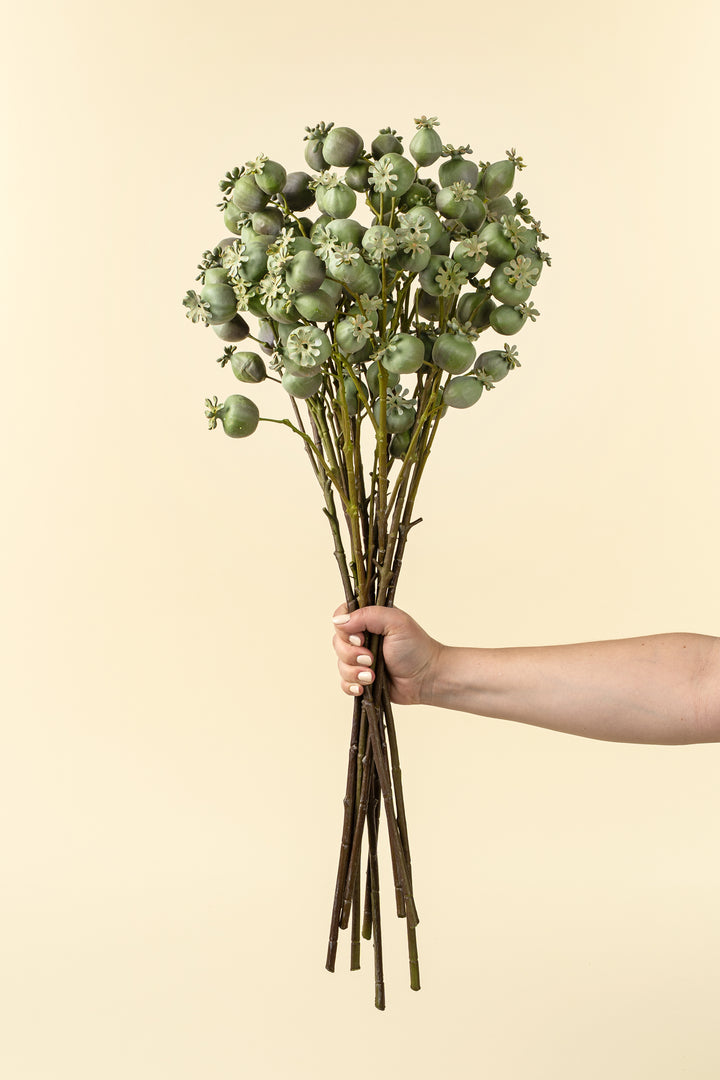 Indaba Poppy Pod Branch 01-9501
