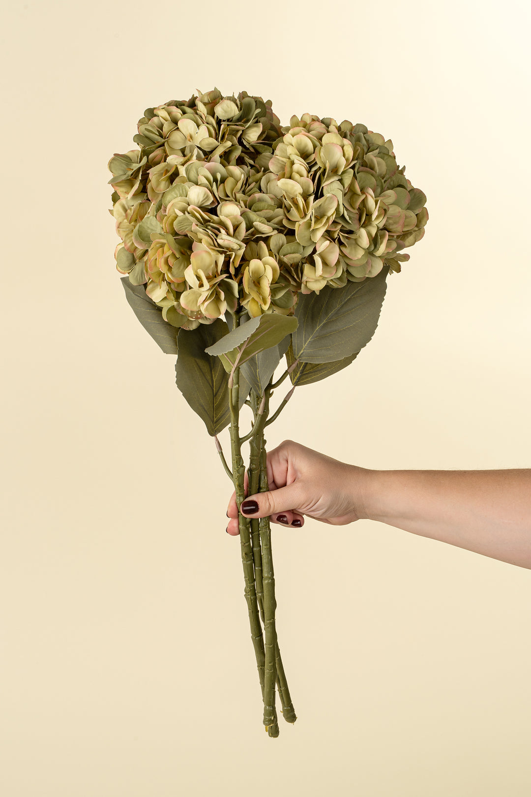 Indaba Hydrangea Stem 1-0364 Green