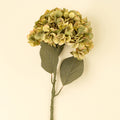 Indaba Hydrangea Stem 1-0364 Green